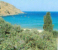 wpe41617.gif (37309 Byte)