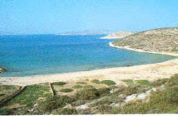 wpe31646.gif (33156 Byte)