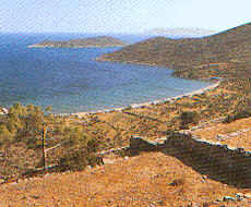 wpe40757.gif (37988 Byte)